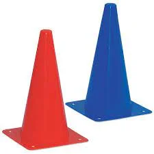 Training Cones - 12 inch